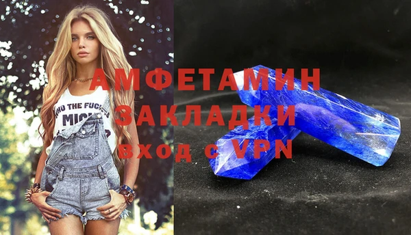 амф Алексин