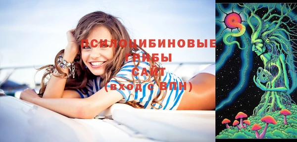 амф Алексин